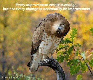 390022_309342045764085_278916238806666_1011356_937410841_n