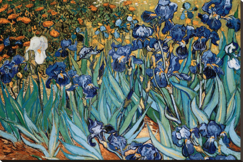Vincent-van-Gogh-Irises-Saint-Remy-c-1889