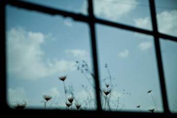 in window