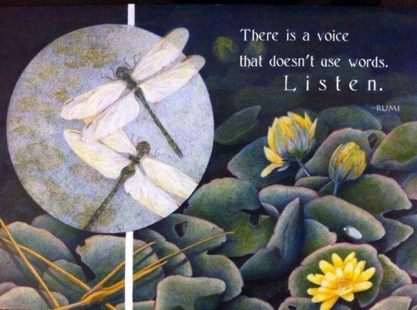 1238078_524995834245780_1643385656_n