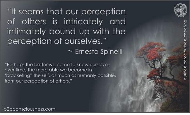 the_interpreted_world